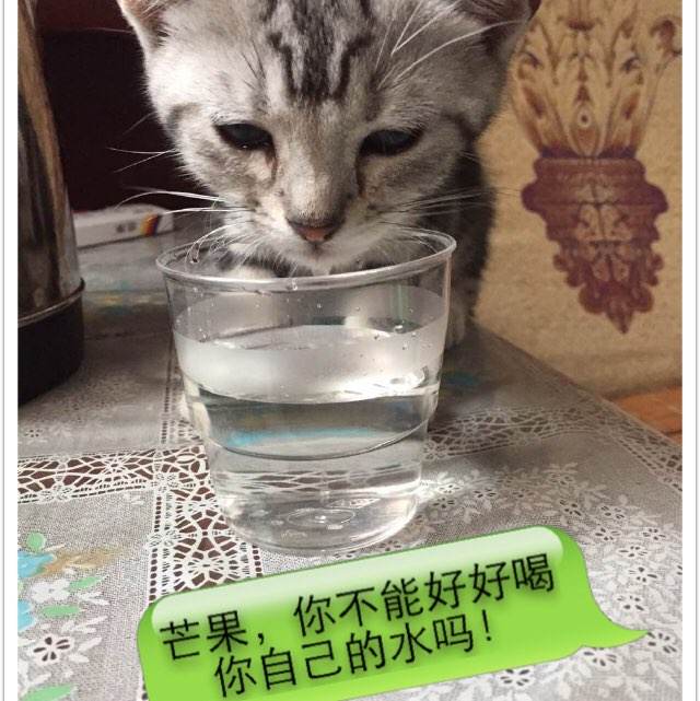 克拉克大学文凭毕业证真实样板